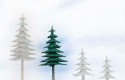 71928 Auhagen Evergreen - 9 cm